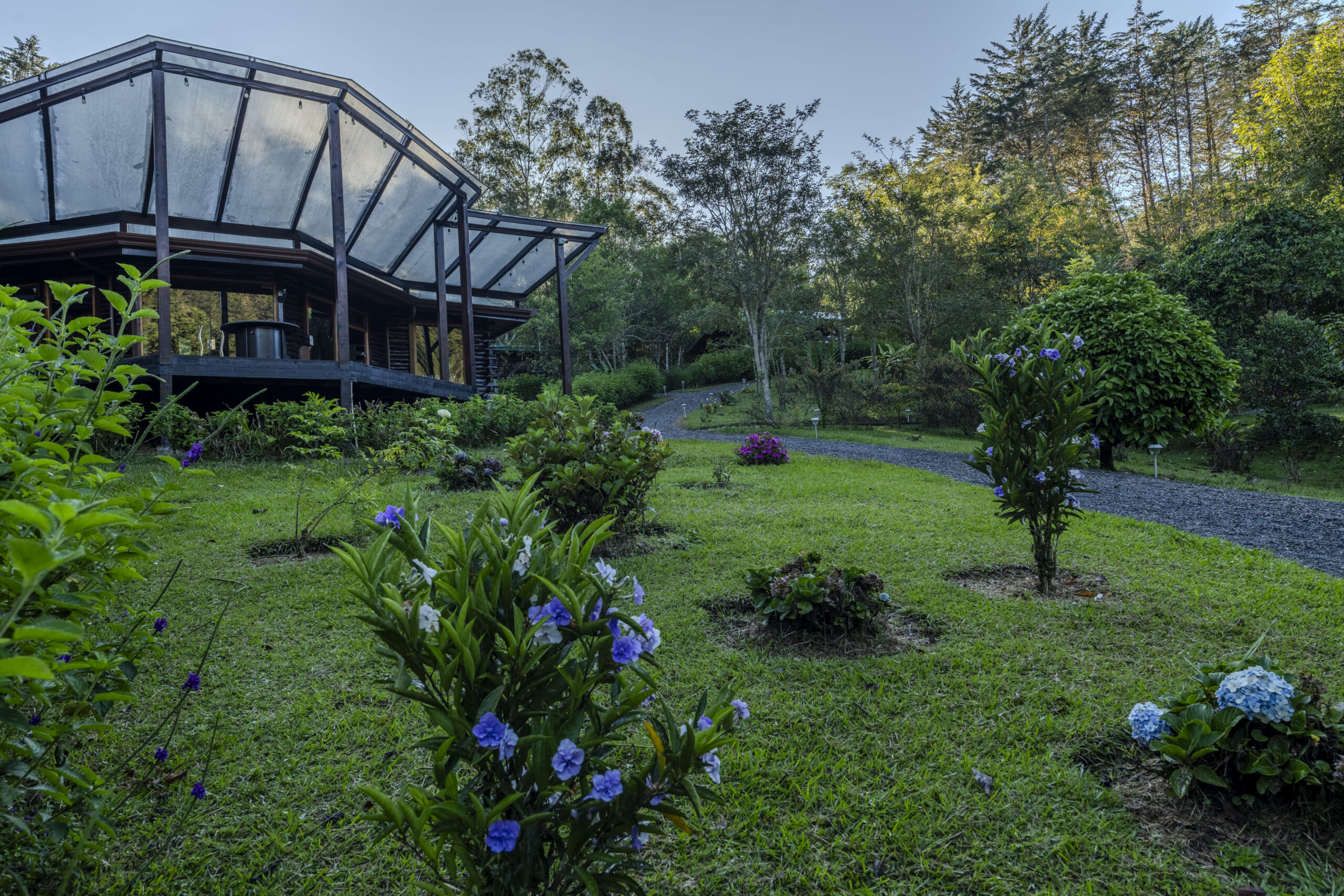 Verdesana grounds