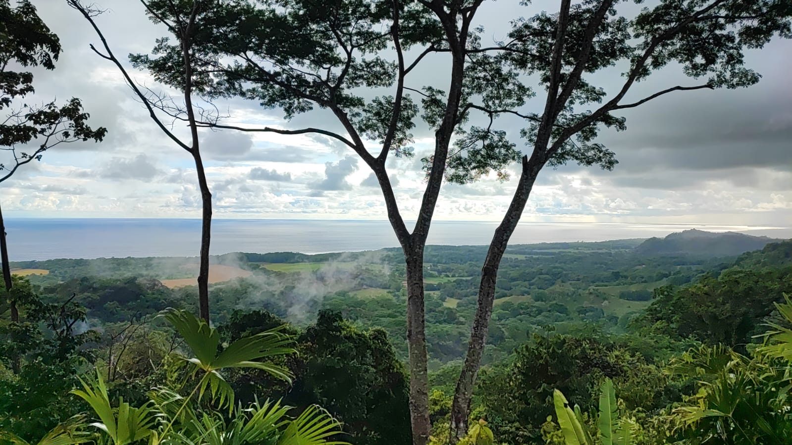 Mountain and jungle view from Imiloa